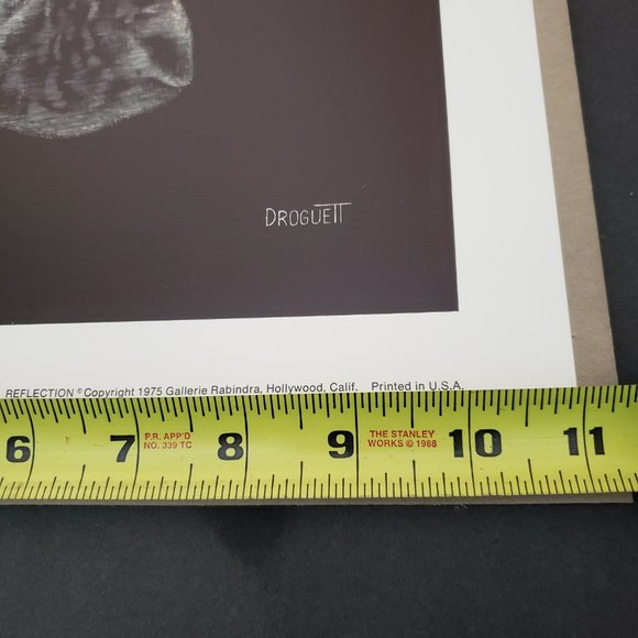 Vintage 70s Droguett Kitten Reflection Print Art Cute - Picture 7 of 12